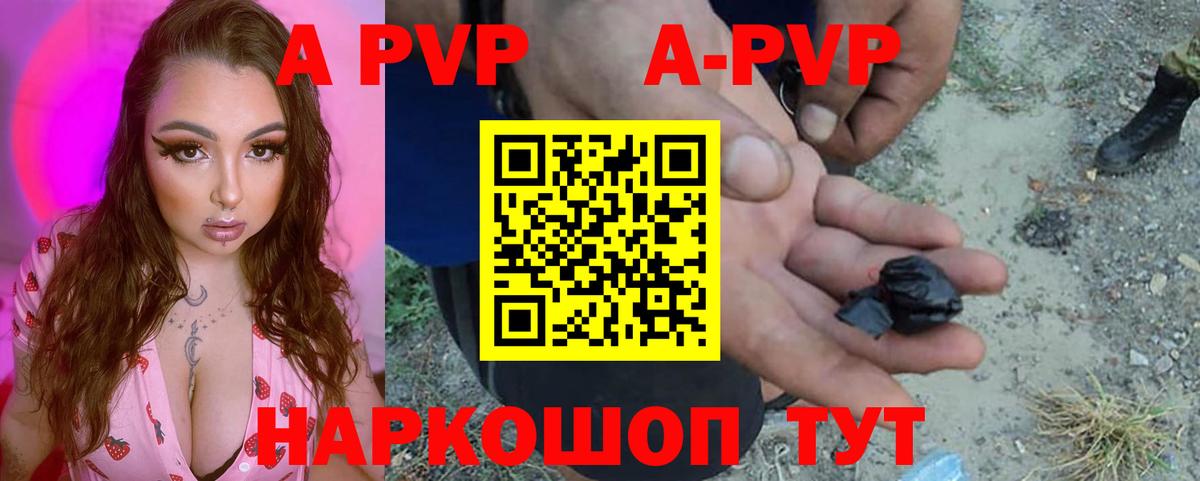 Alfa_PVP СК КРИС Куйбышев