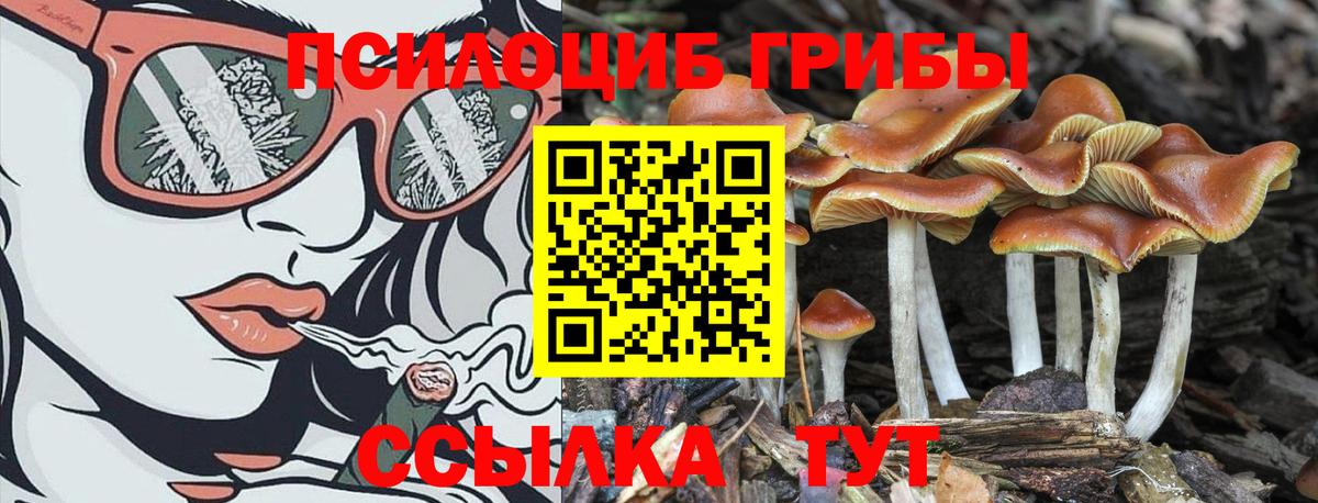 Куйбышев  Псилоцибиновые грибы MAGIC MUSHROOMS  Вход с VPN 